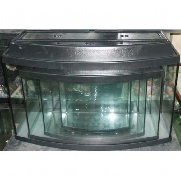 AKVARYUM BOMBELİ SET 5 Lİ