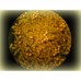 Yerli Artemia Yumurtası %100 Yerli 50 Gr