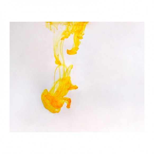 Lutein Zeaksantin Sarı Renk Pİgmenti 10 Gr